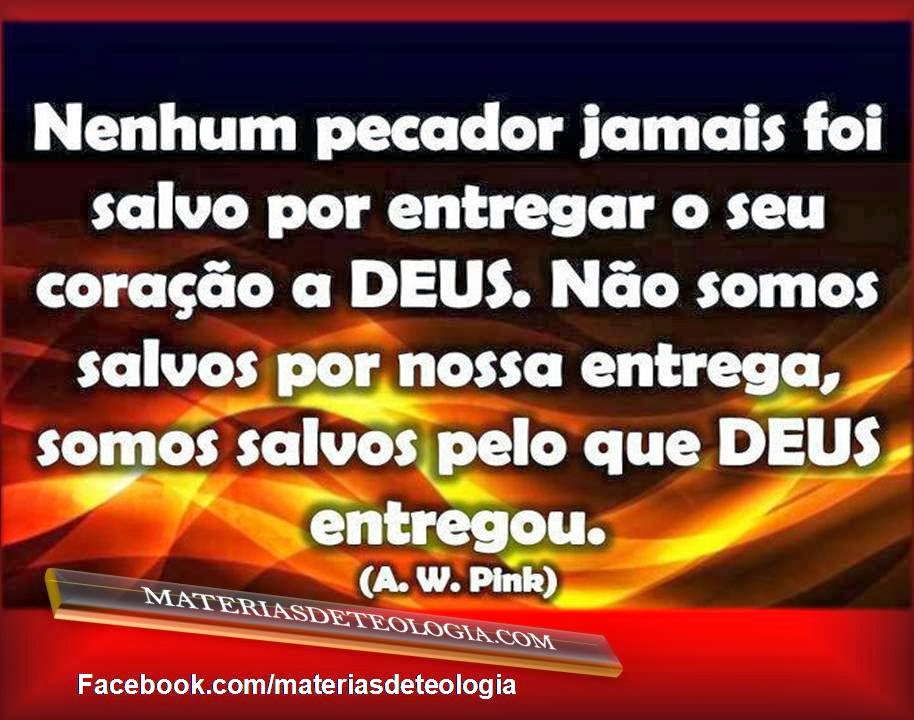 frases de sabedoria